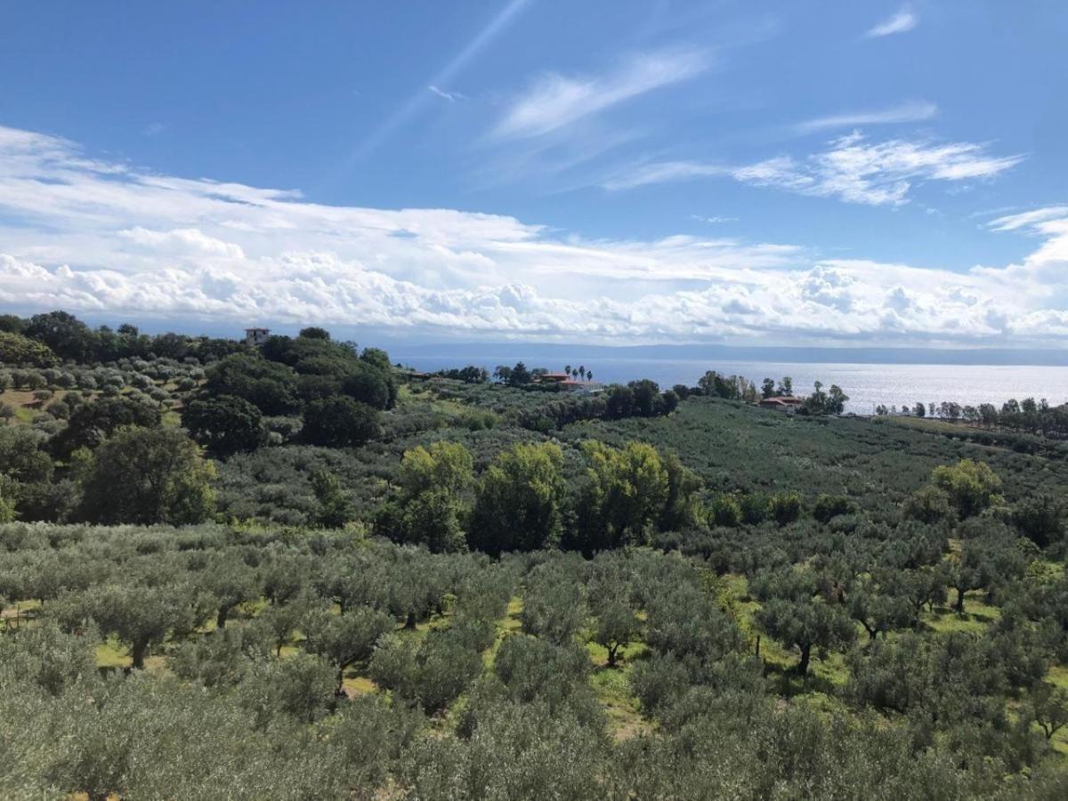 Casale Calabria Bed and Breakfast Gizzeria Exteriör bild