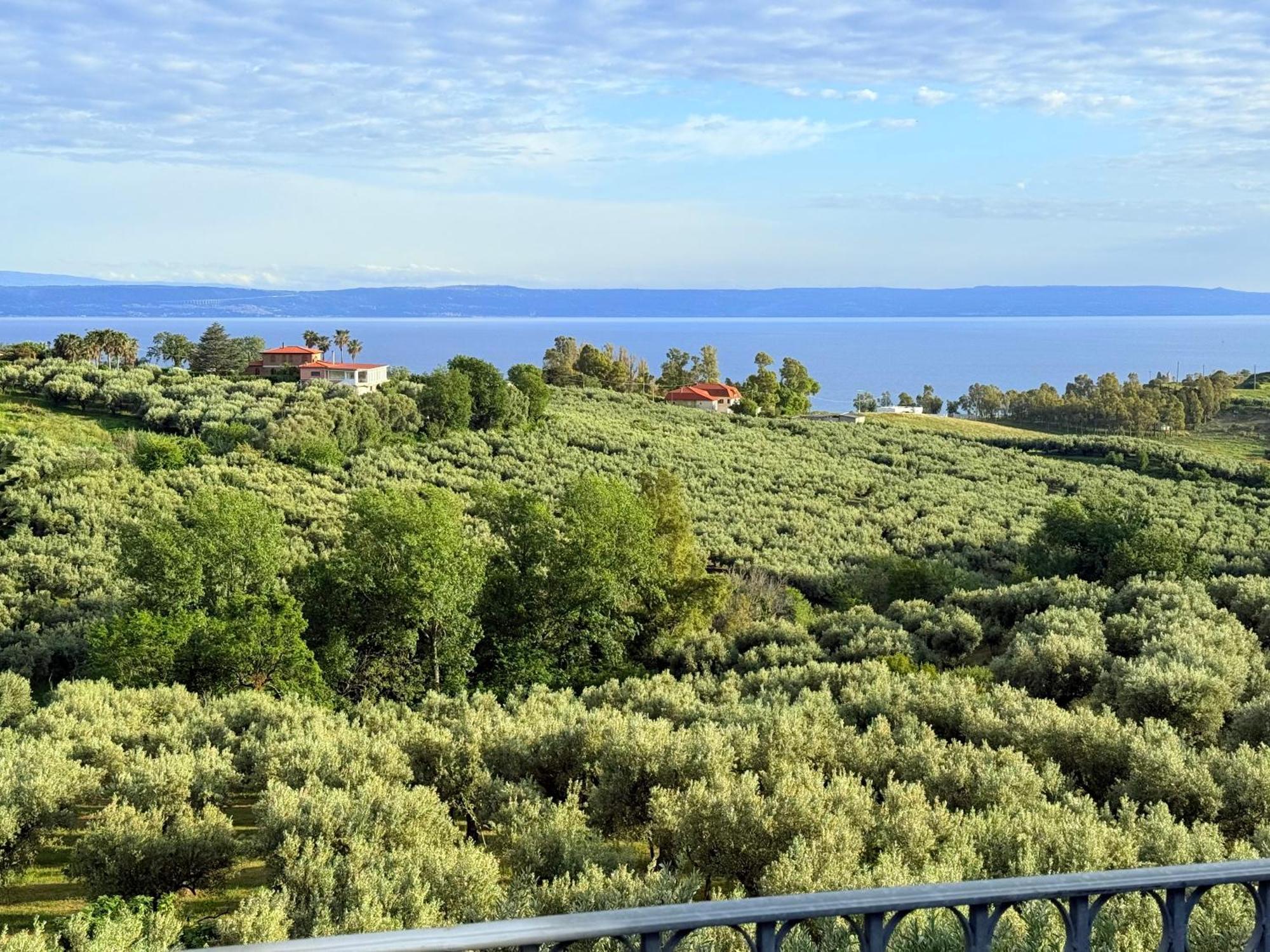 Casale Calabria Bed and Breakfast Gizzeria Exteriör bild
