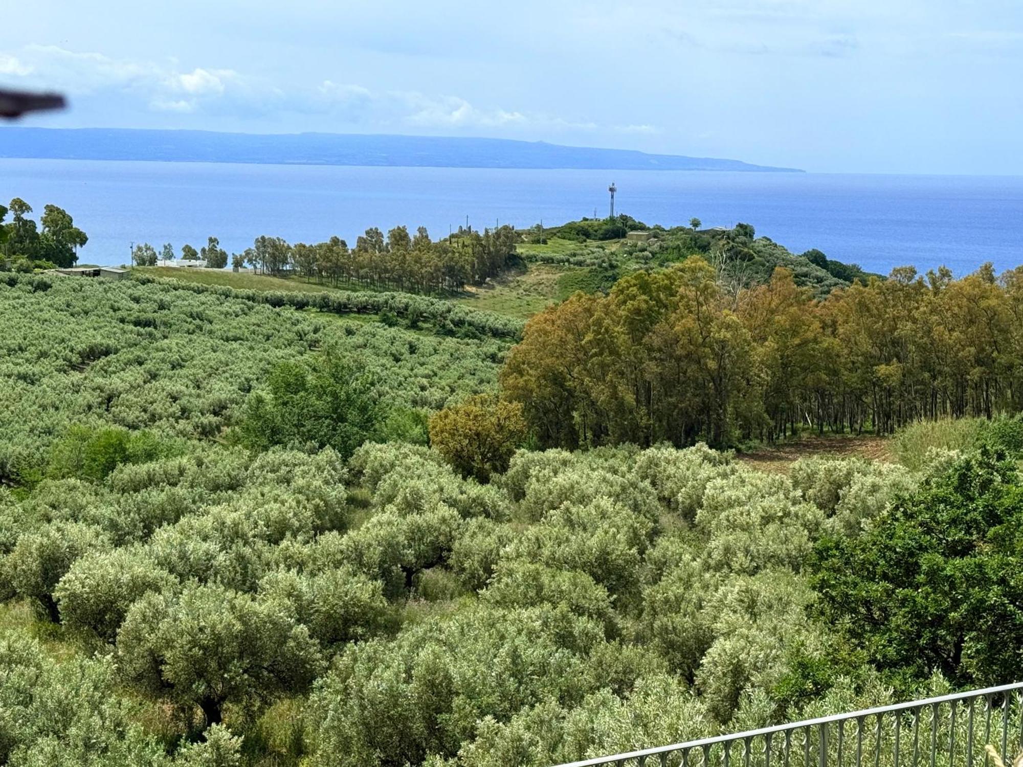 Casale Calabria Bed and Breakfast Gizzeria Exteriör bild